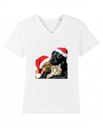 Dogs and cat in Christmas spirit White