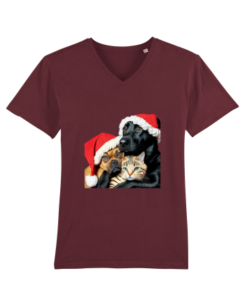Dogs and cat in Christmas spirit Burgundy