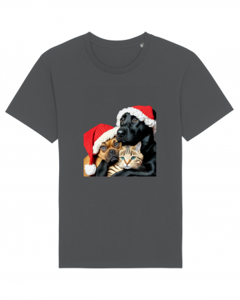 Dogs and cat in Christmas spirit Anthracite