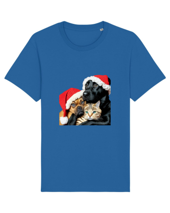 Dogs and cat in Christmas spirit Royal Blue