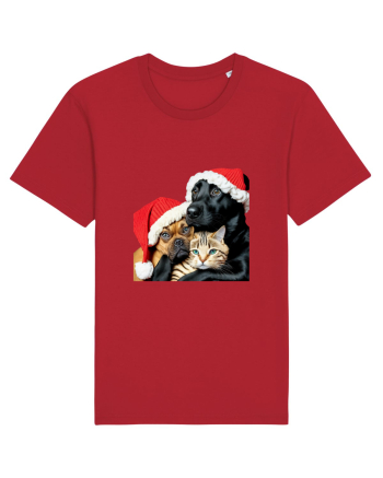 Dogs and cat in Christmas spirit Red
