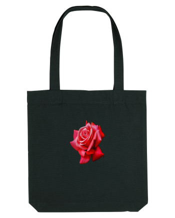 Red rose Black
