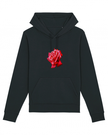 Red rose Black