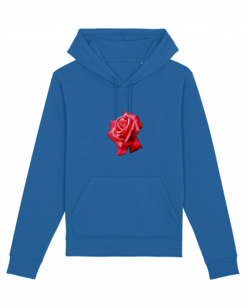 Red rose Royal Blue