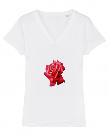 Red rose White