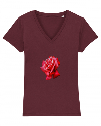 Red rose Burgundy