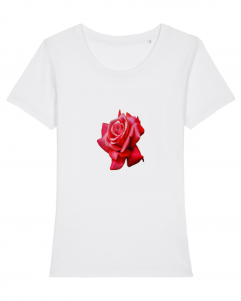 Red rose White
