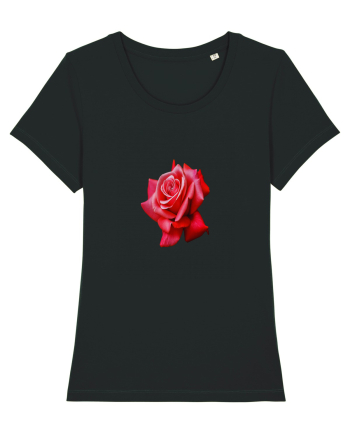 Red rose Black
