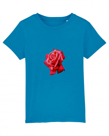 Red rose Azur