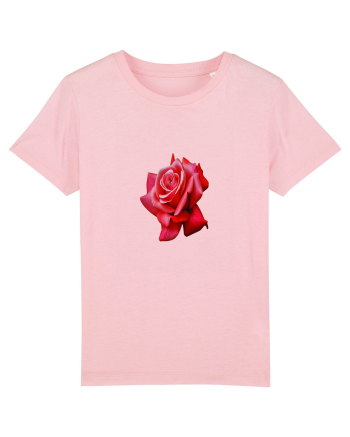 Red rose Cotton Pink