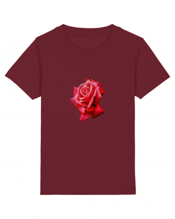 Red rose Burgundy