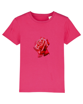 Red rose Raspberry