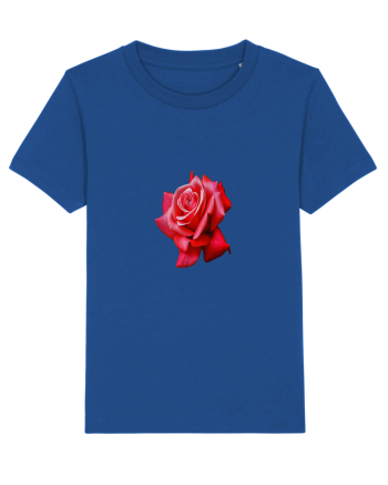 Red rose Majorelle Blue