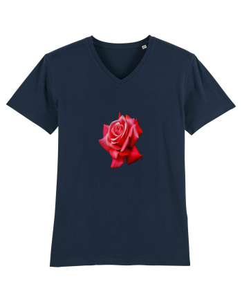 Red rose French Navy