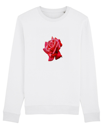 Red rose White