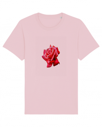 Red rose Cotton Pink