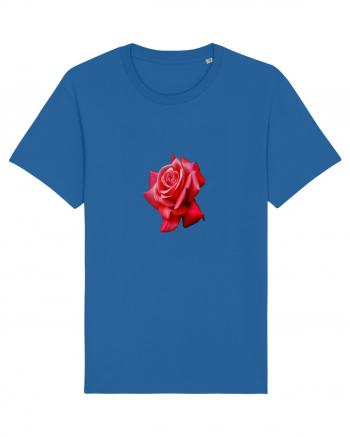 Red rose Royal Blue