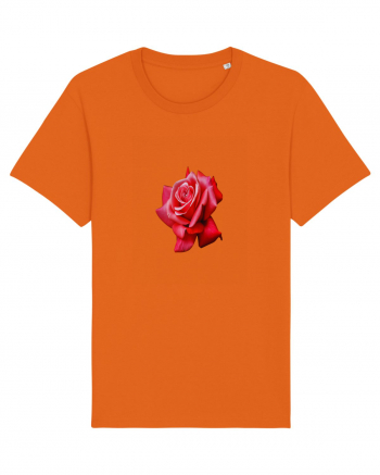 Red rose Bright Orange