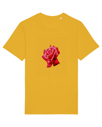 Red rose Spectra Yellow