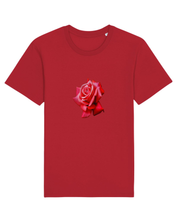 Red rose Red