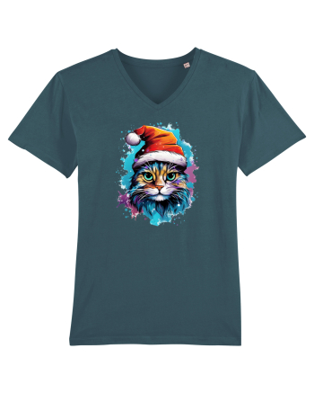 Christmas cat Stargazer