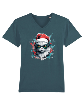 Christmas cat Stargazer