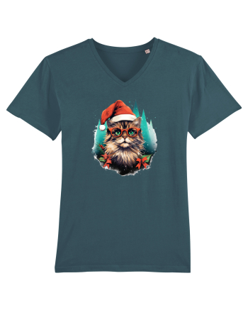 Christmas cat Stargazer