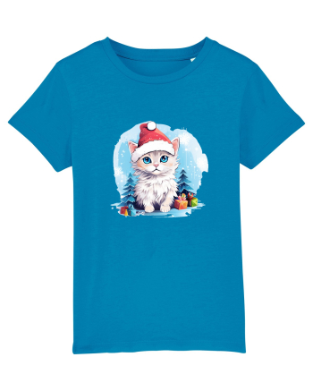 Christmas cat Azur