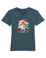 Christmas cat Tricou mânecă scurtă guler V Bărbat Presenter