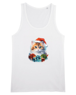 Christmas cat Maiou Bărbat Runs