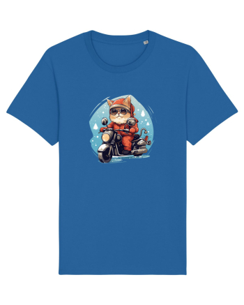 Rocker Cat Royal Blue