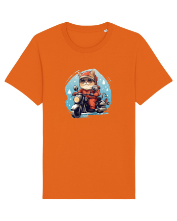 Rocker Cat Bright Orange