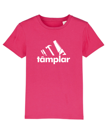 Tamplar Raspberry