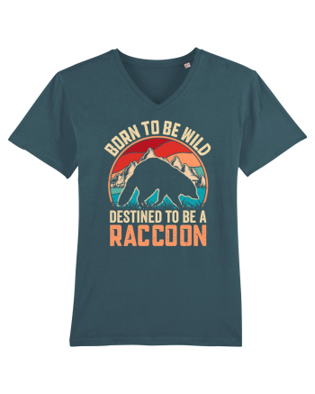 Born to be wild destined to be a raccoon Stargazer