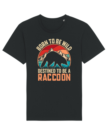 Born to be wild destined to be a raccoon Black