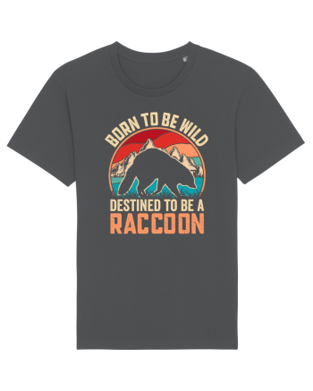 Born to be wild destined to be a raccoon Anthracite