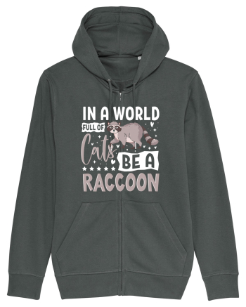 In a world full of cats be a raccoon Anthracite