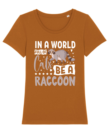 In a world full of cats be a raccoon Roasted Orange