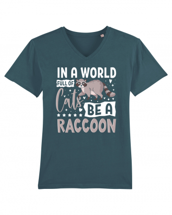 In a world full of cats be a raccoon Stargazer