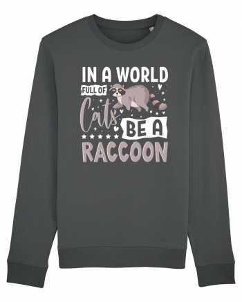 In a world full of cats be a raccoon Anthracite