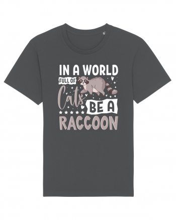 In a world full of cats be a raccoon Anthracite