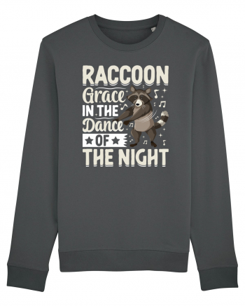 Raccoon Grace In The Dance Of The Night Anthracite