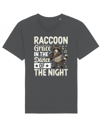 Raccoon Grace In The Dance Of The Night Anthracite