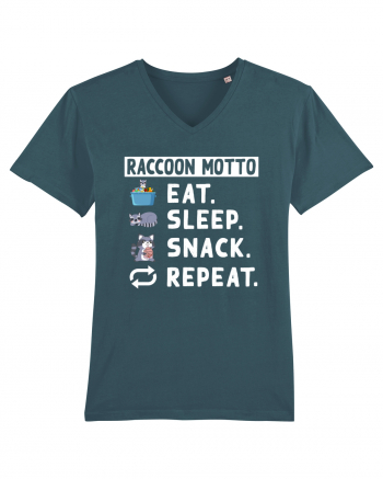 Raccoon motto, Eat Sleep Snack Repeat Stargazer