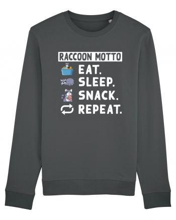 Raccoon motto, Eat Sleep Snack Repeat Anthracite