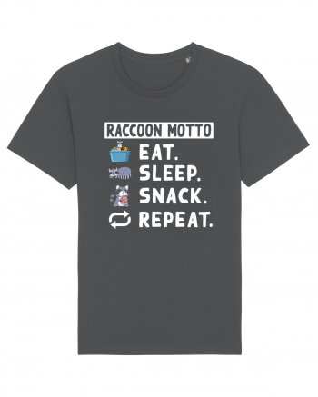 Raccoon motto, Eat Sleep Snack Repeat Anthracite