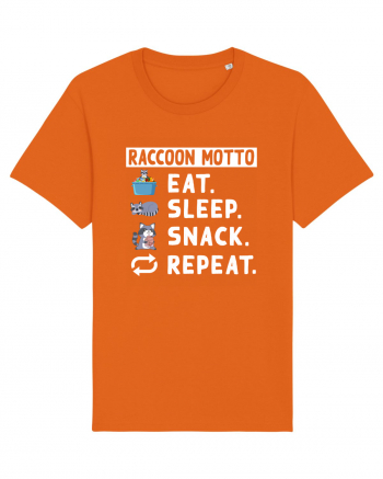 Raccoon motto, Eat Sleep Snack Repeat Bright Orange