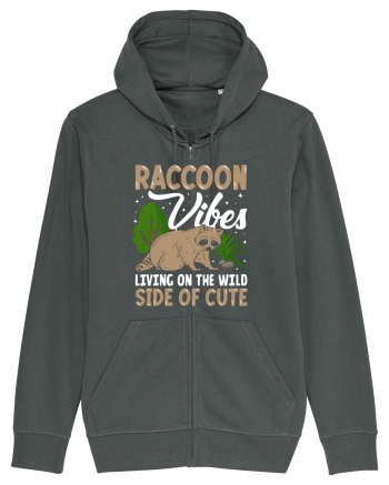 Raccoon vibes living on the wild side of cute Anthracite