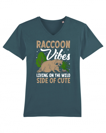 Raccoon vibes living on the wild side of cute Stargazer