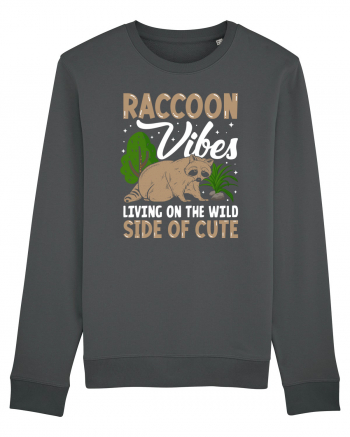 Raccoon vibes living on the wild side of cute Anthracite